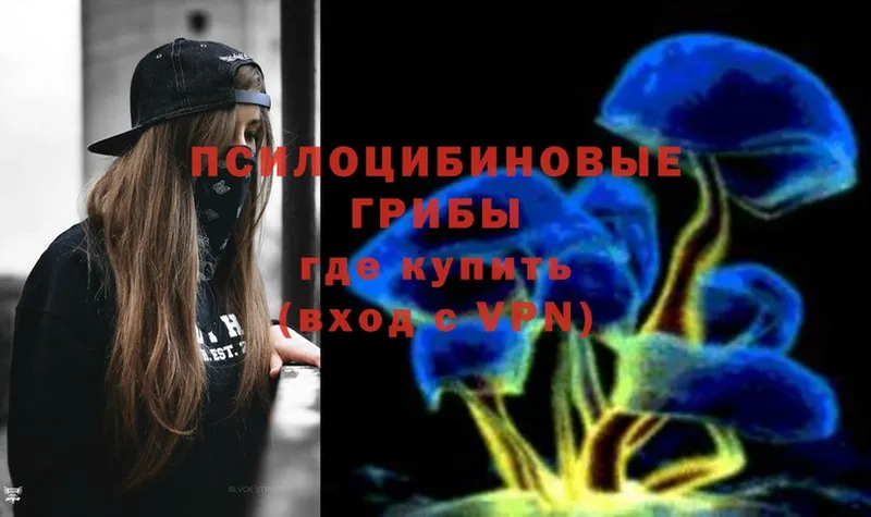 Псилоцибиновые грибы Psilocybine cubensis  площадка формула  Инза 